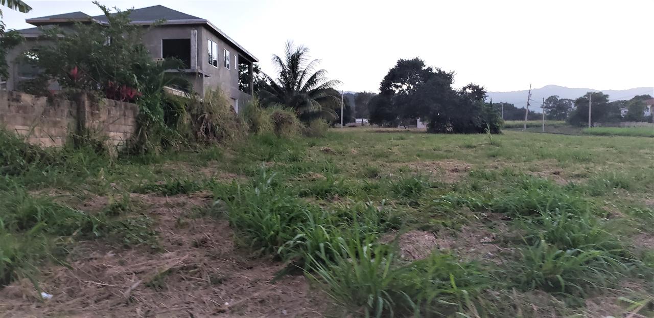 PLANTATION VILLAGE ST ANN, Laughlands, St. Ann Demim Realty Real