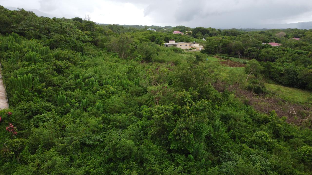 MONTPELIER, PEPPER, Pepper, St. Elizabeth Demim Realty Real estate