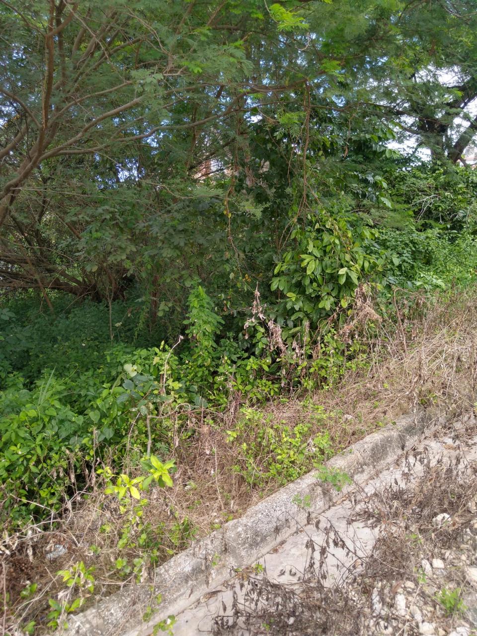 396 ROSEMOUNT GARDENS, Montego Bay, St. James Demim Realty Real