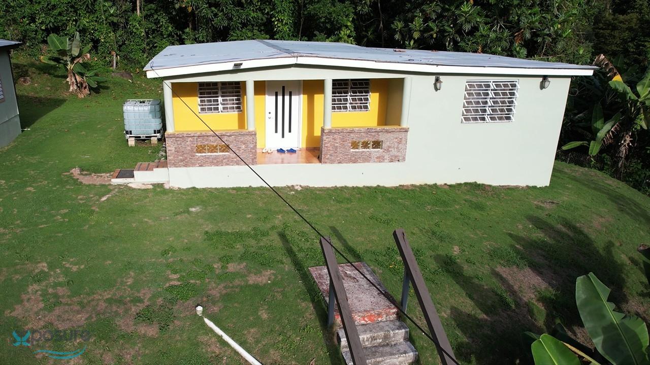 Imagen 7