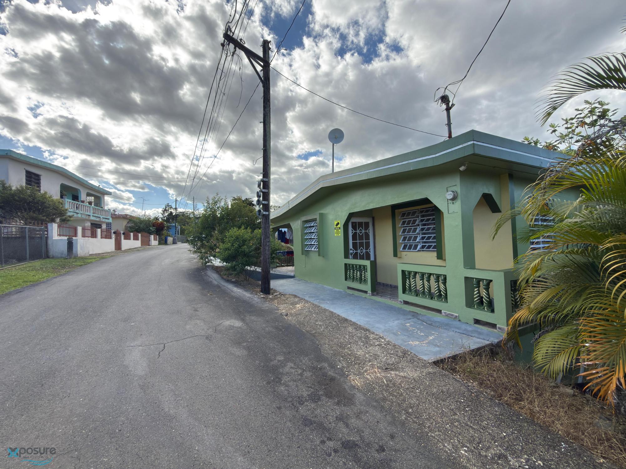 Imagen 13