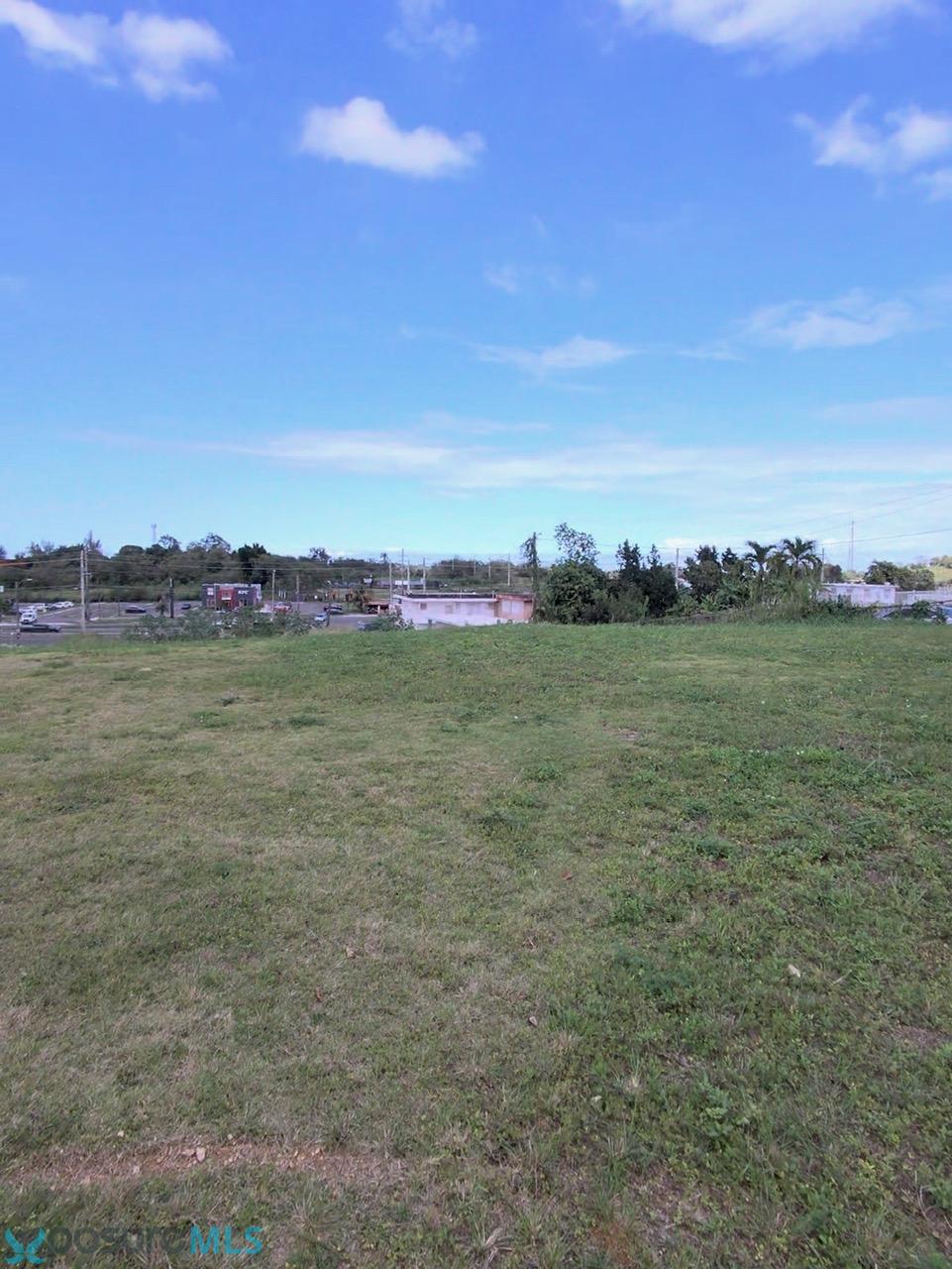 Imagen 11