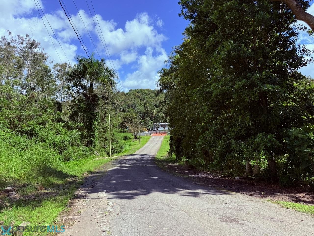 Imagen 4