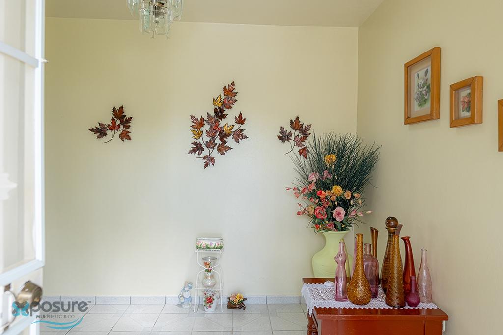 Imagen 7