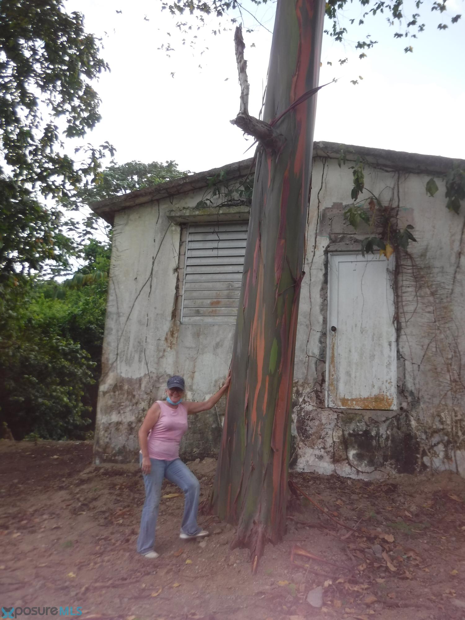 Imagen 6