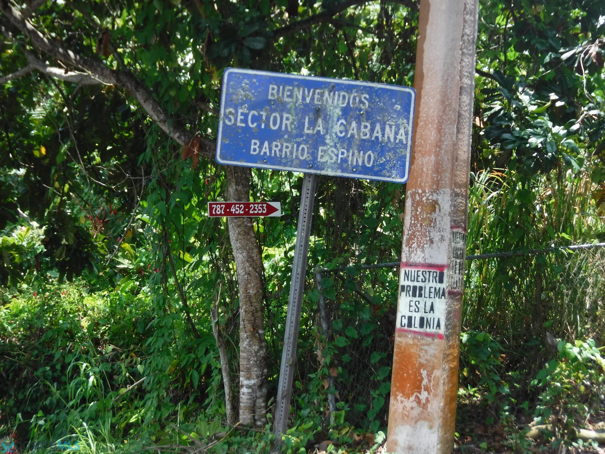 Imagen 15