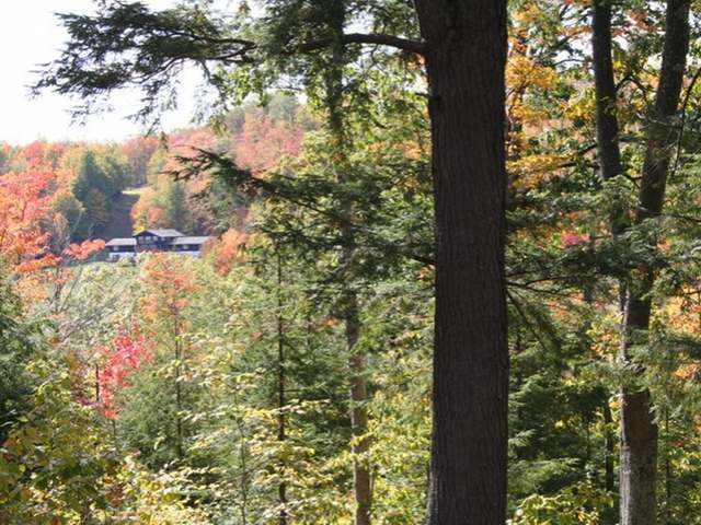Lot 1 WEBER LAKE RD