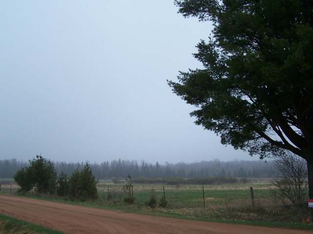 ON EVERGREEN DR