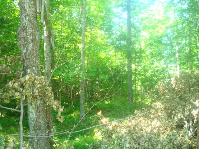 ON HWY 52