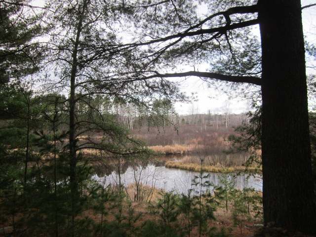 80 acres HWY 8
