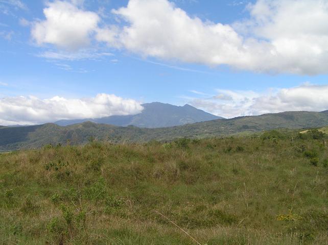 1 Hectare Flat Lot For Sale in Boquete