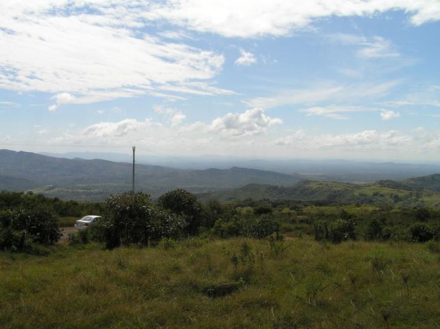 1 Hectare Flat Lot For Sale in Boquete