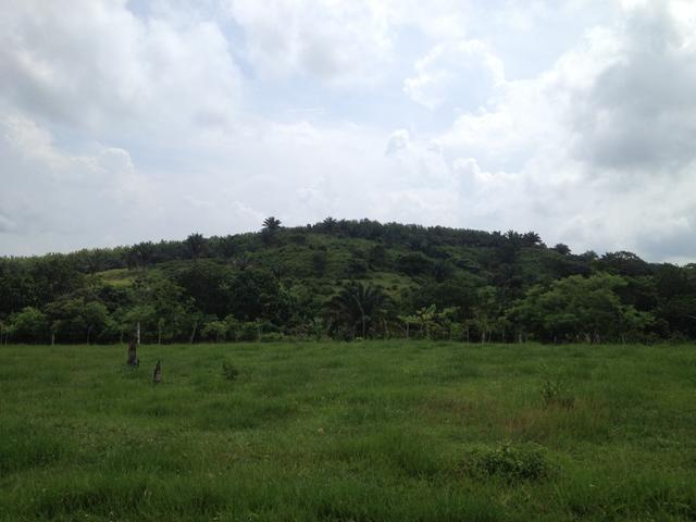 UNIQUE LAND IN FRONT OF GATUN LAKE FOR DEVELOPMENT