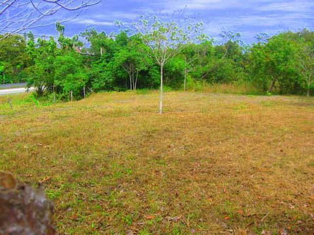 Lot for rent at the Highway San Carlos