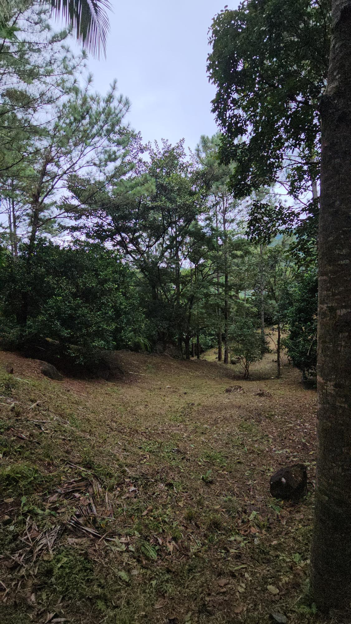 First slide