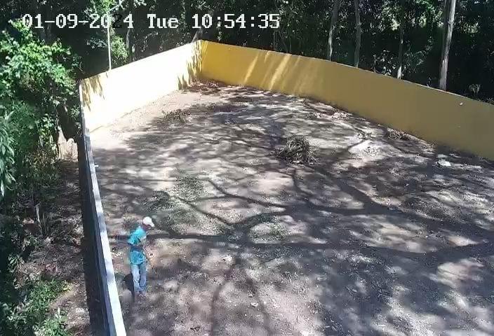 First slide