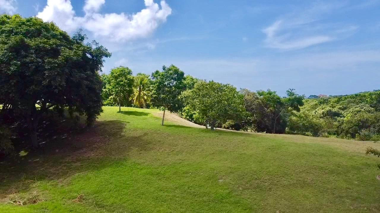 First slide