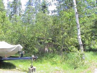 featured listing
