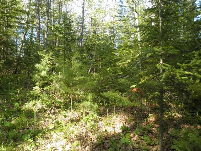 minocqua area real estate