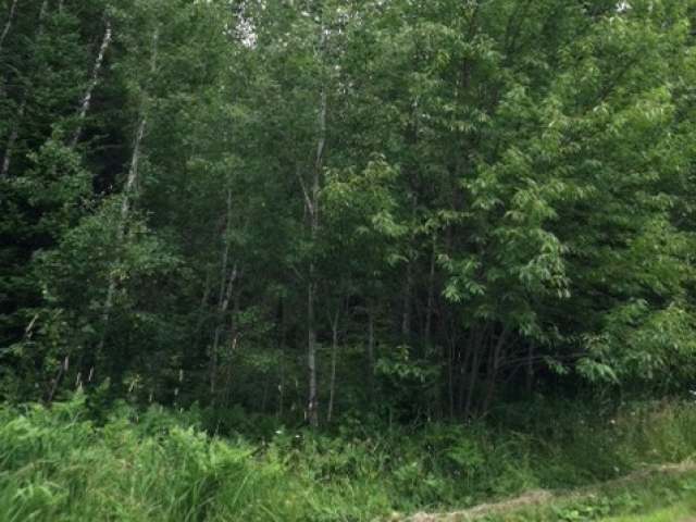 minocqua area real estate
