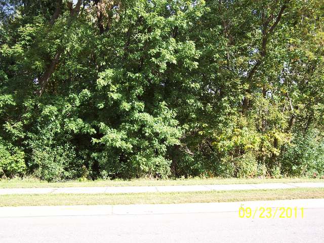 minocqua area real estate
