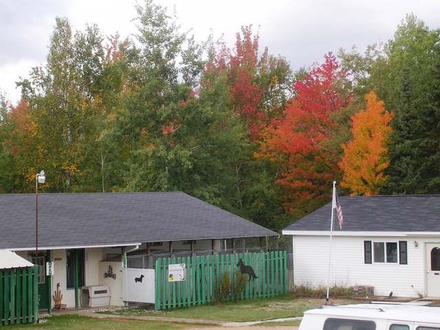 minocqua area real estate