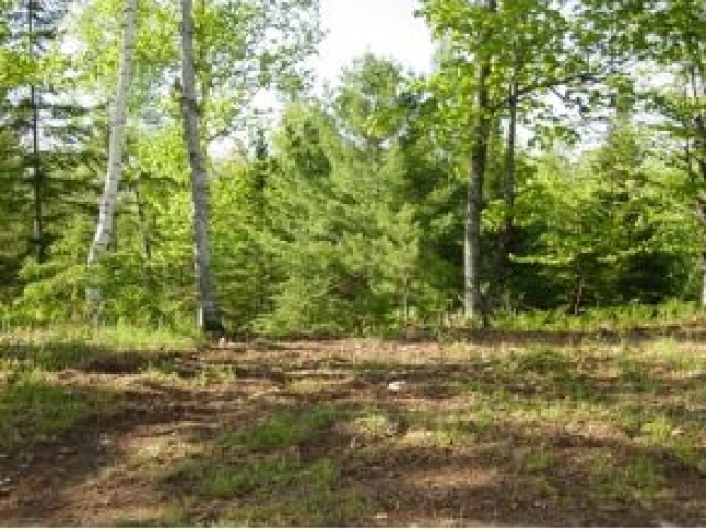 MLS Number 132482 - Home for sale in Presque Isle, WI MLS Number 132482 - Real Estate Listing in Presque Isle