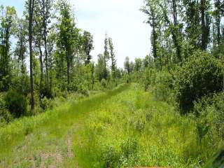NEAR PETERSON RD