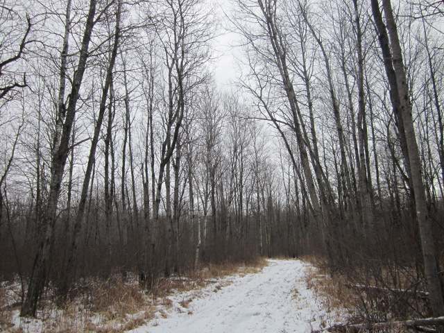 80 acres CTH O