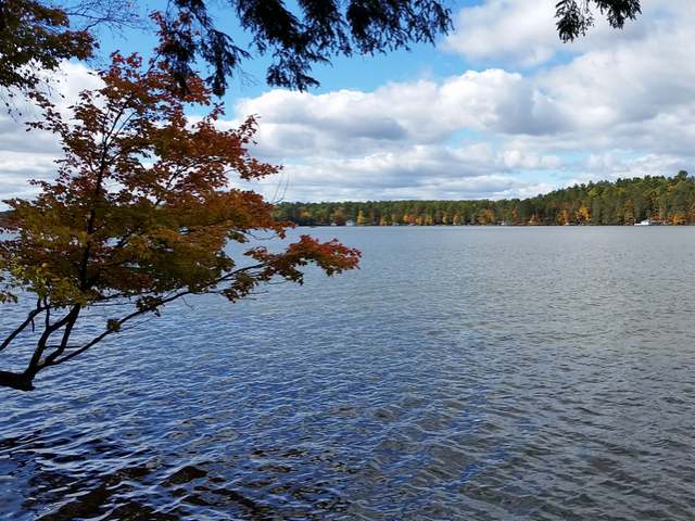 Picture of Lake Property