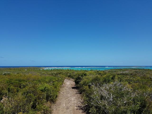 BEACHFRONT ACREAGE