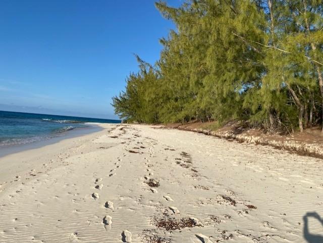 GRAPE POINT, CAT ISLAND