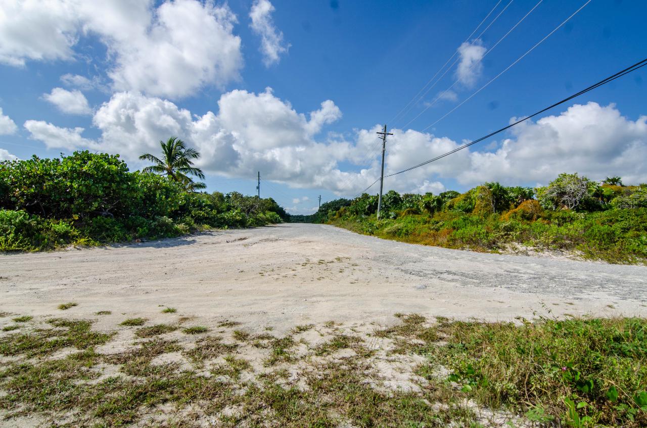 GREENWOOD, CAT ISLAND