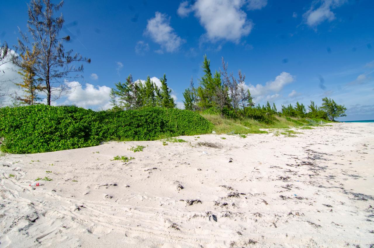GREENWOOD, CAT ISLAND