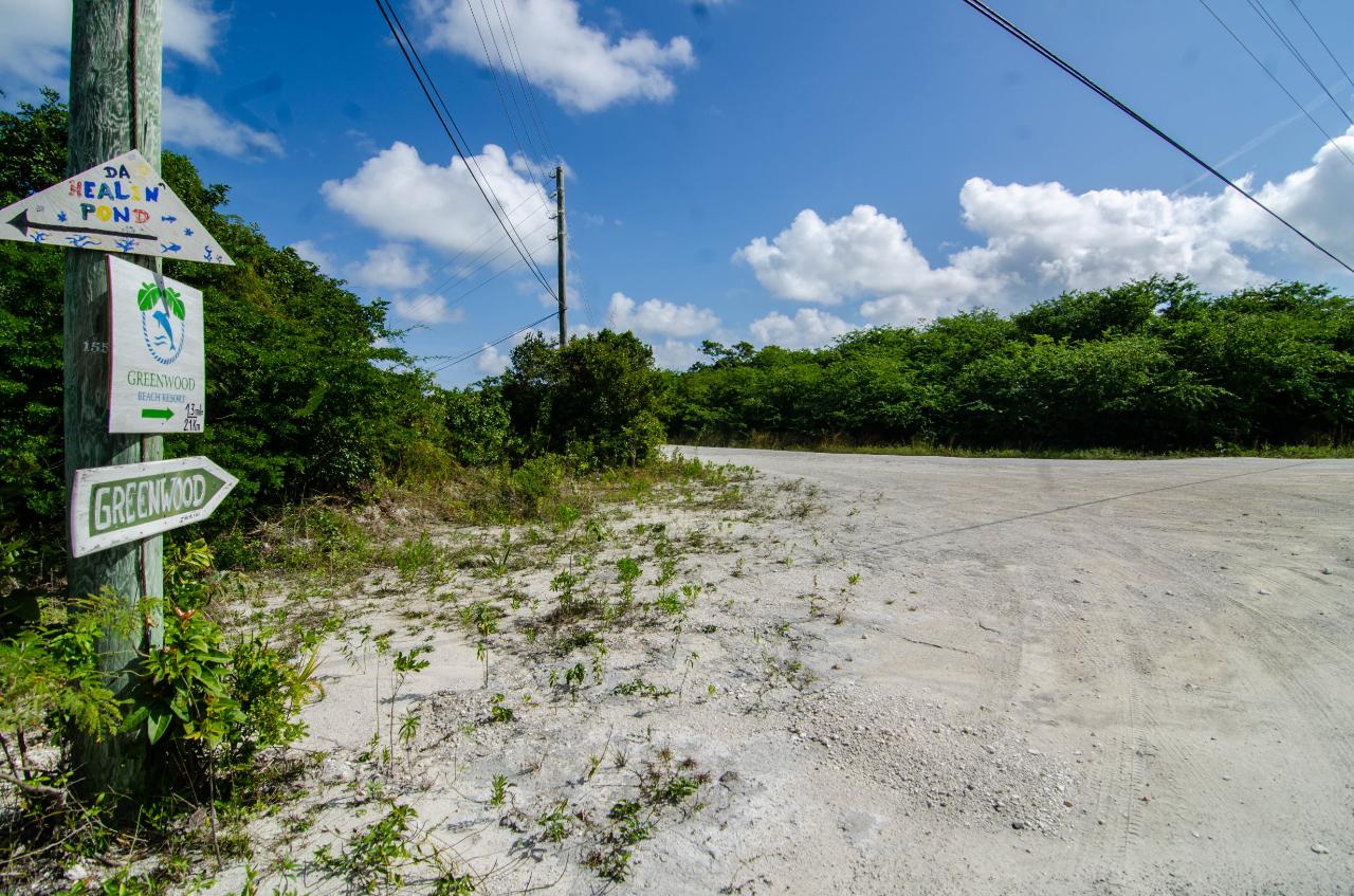 GREENWOOD, CAT ISLAND