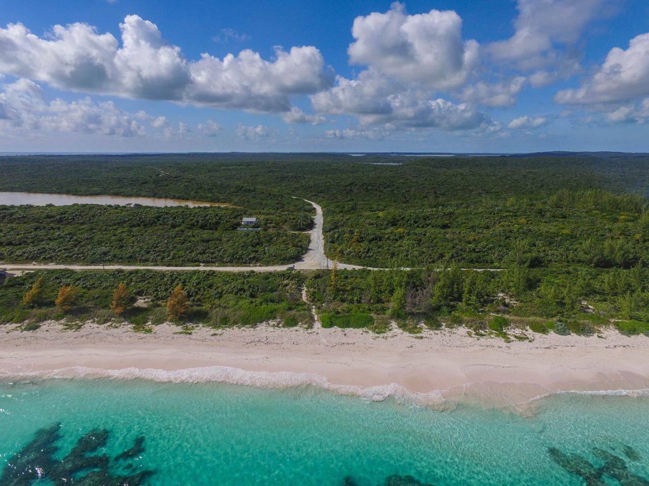 GREENWOOD, CAT ISLAND