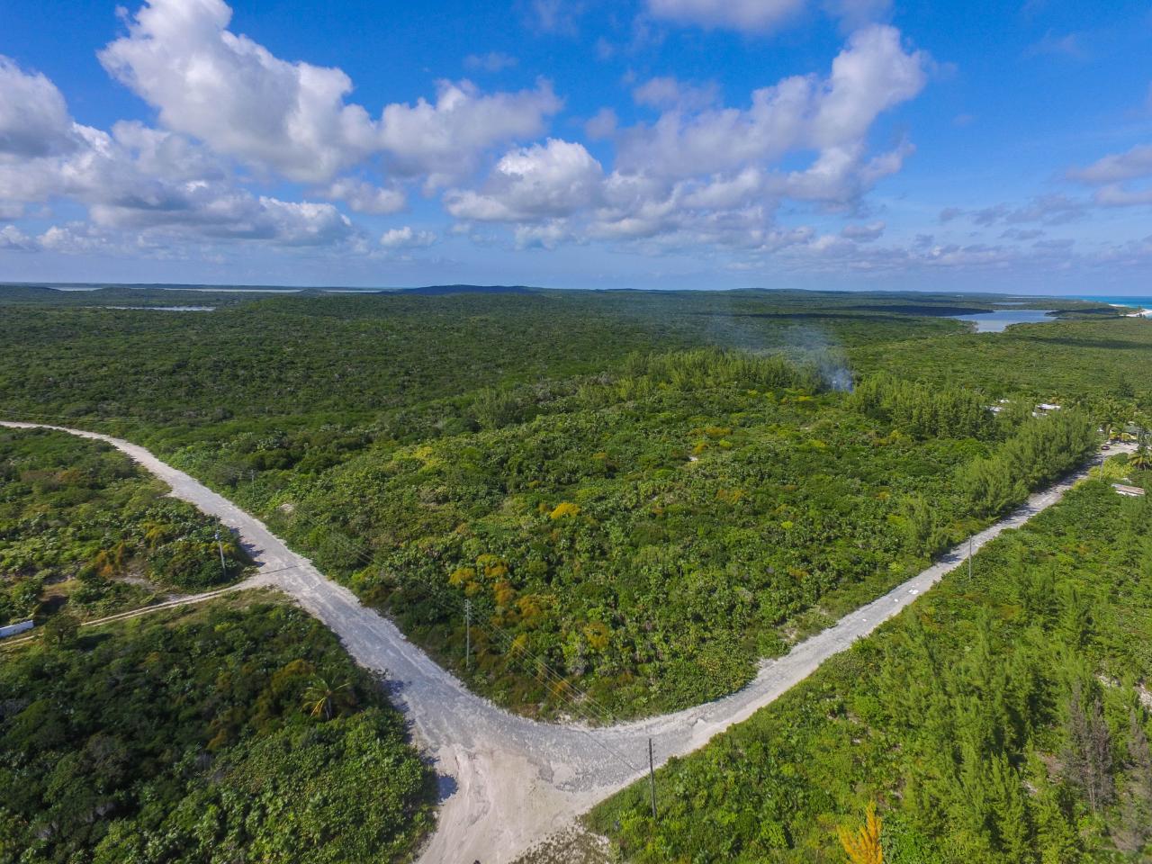 GREENWOOD, CAT ISLAND