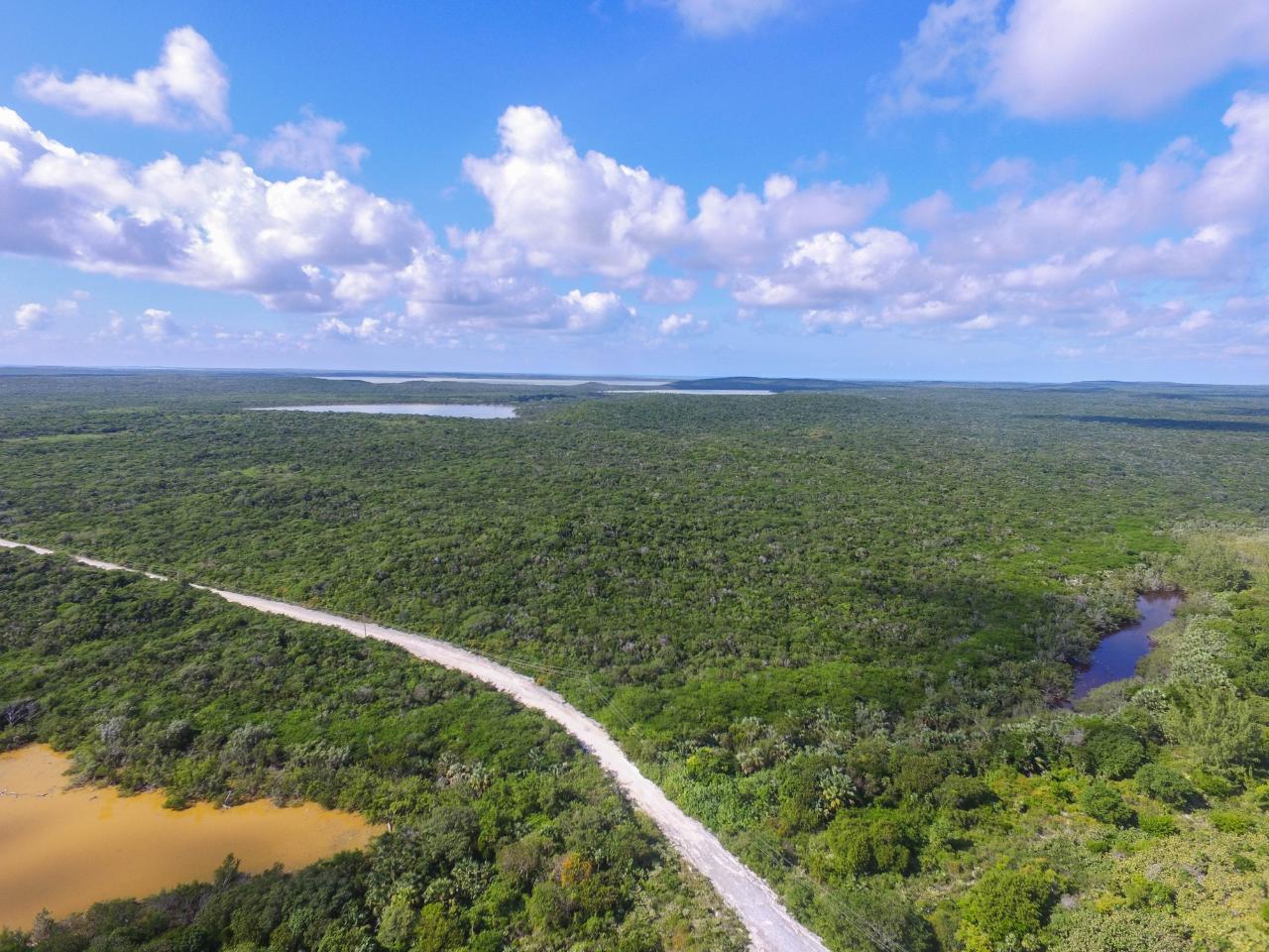 GREENWOOD, CAT ISLAND