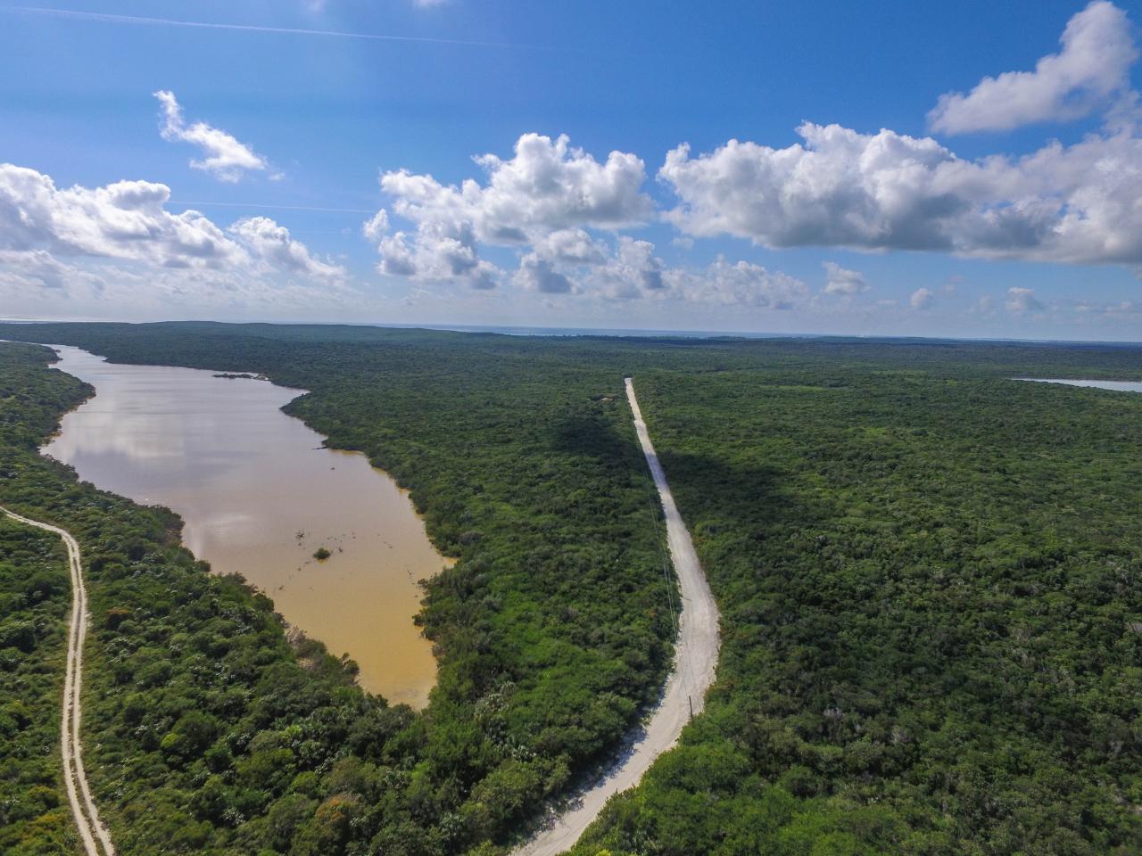 GREENWOOD, CAT ISLAND
