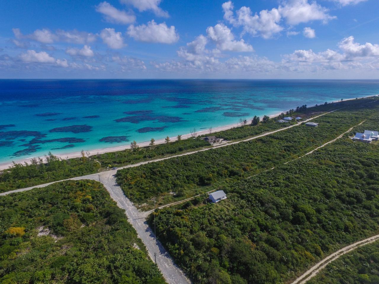 GREENWOOD, CAT ISLAND