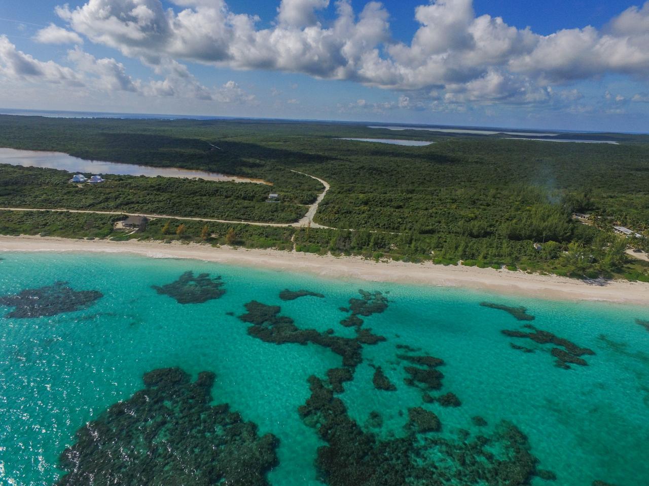 GREENWOOD, CAT ISLAND