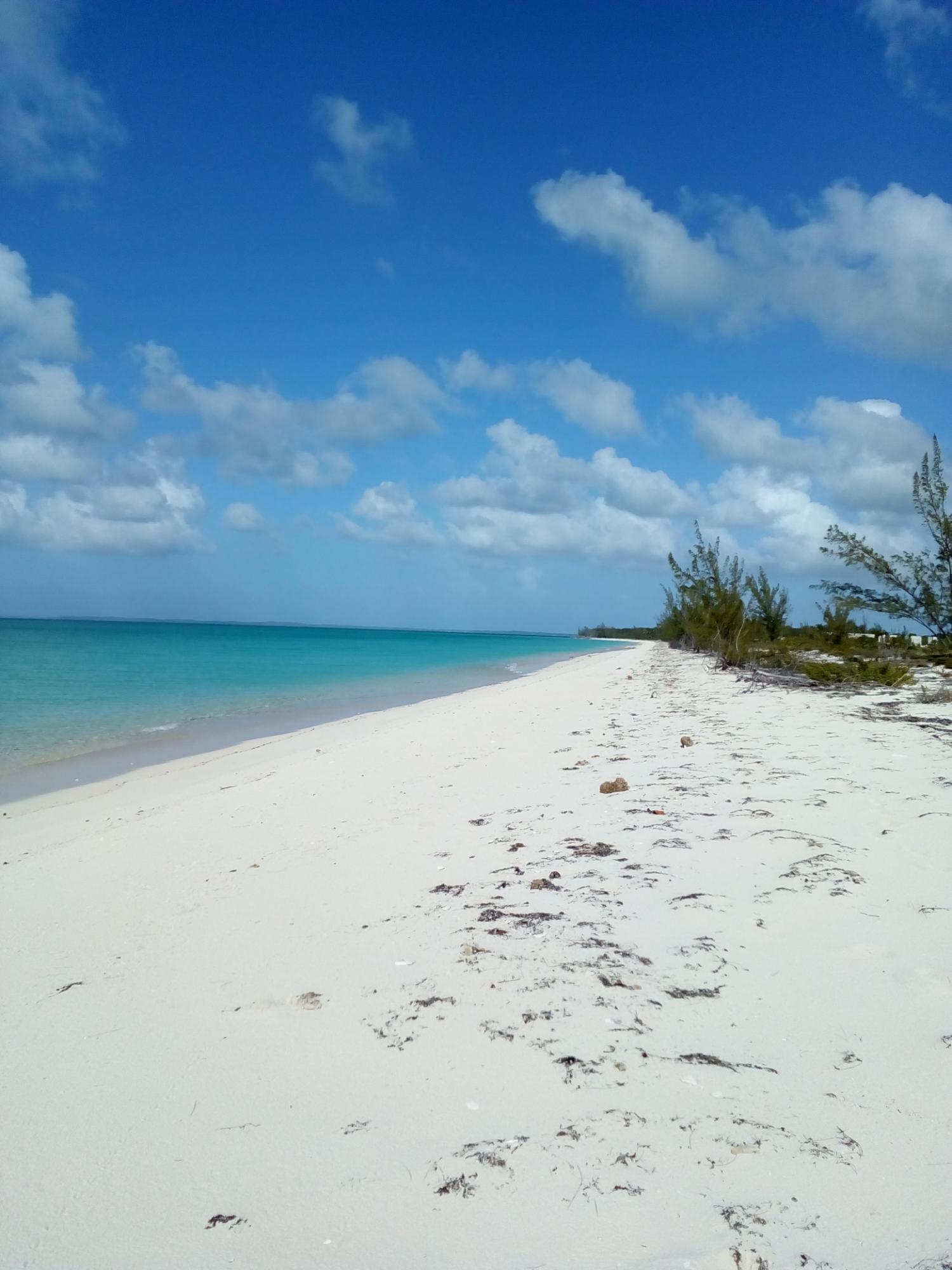 BAHAMA ISLAND BEACH #3