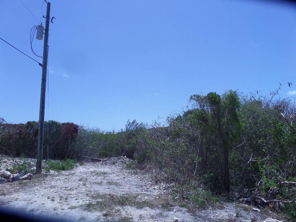Long Island Lot