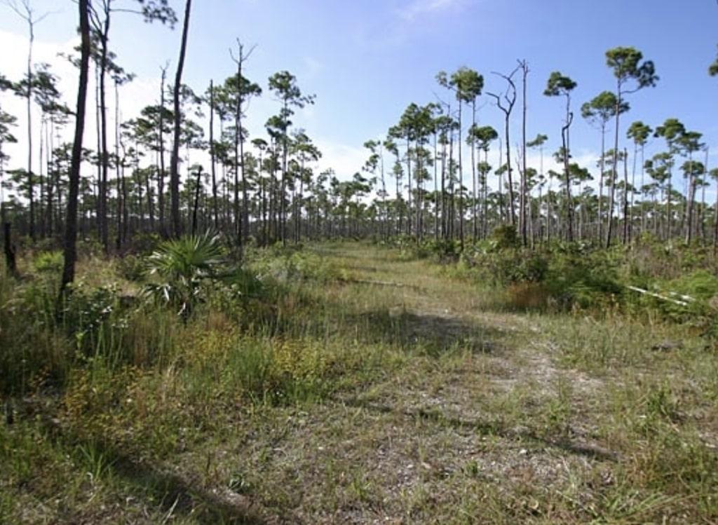 LUCAYA ESTATES KRA Bahamas