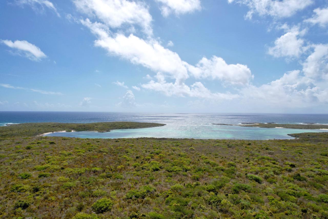 289 ACRES BURROWS HARBOUR