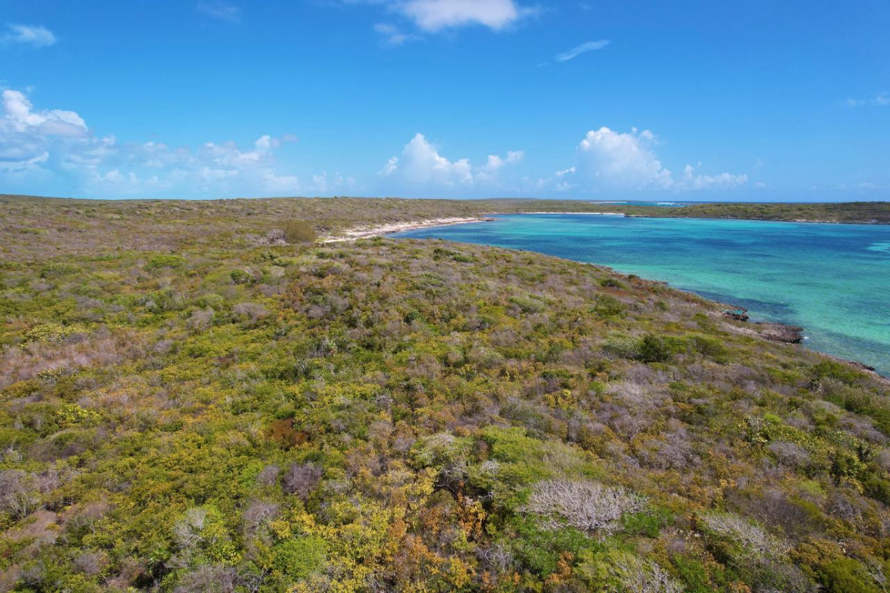 289 ACRES BURROWS HARBOUR