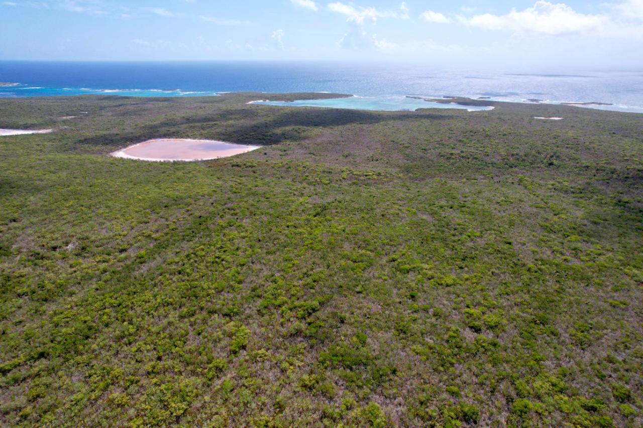 289 ACRES BURROWS HARBOUR