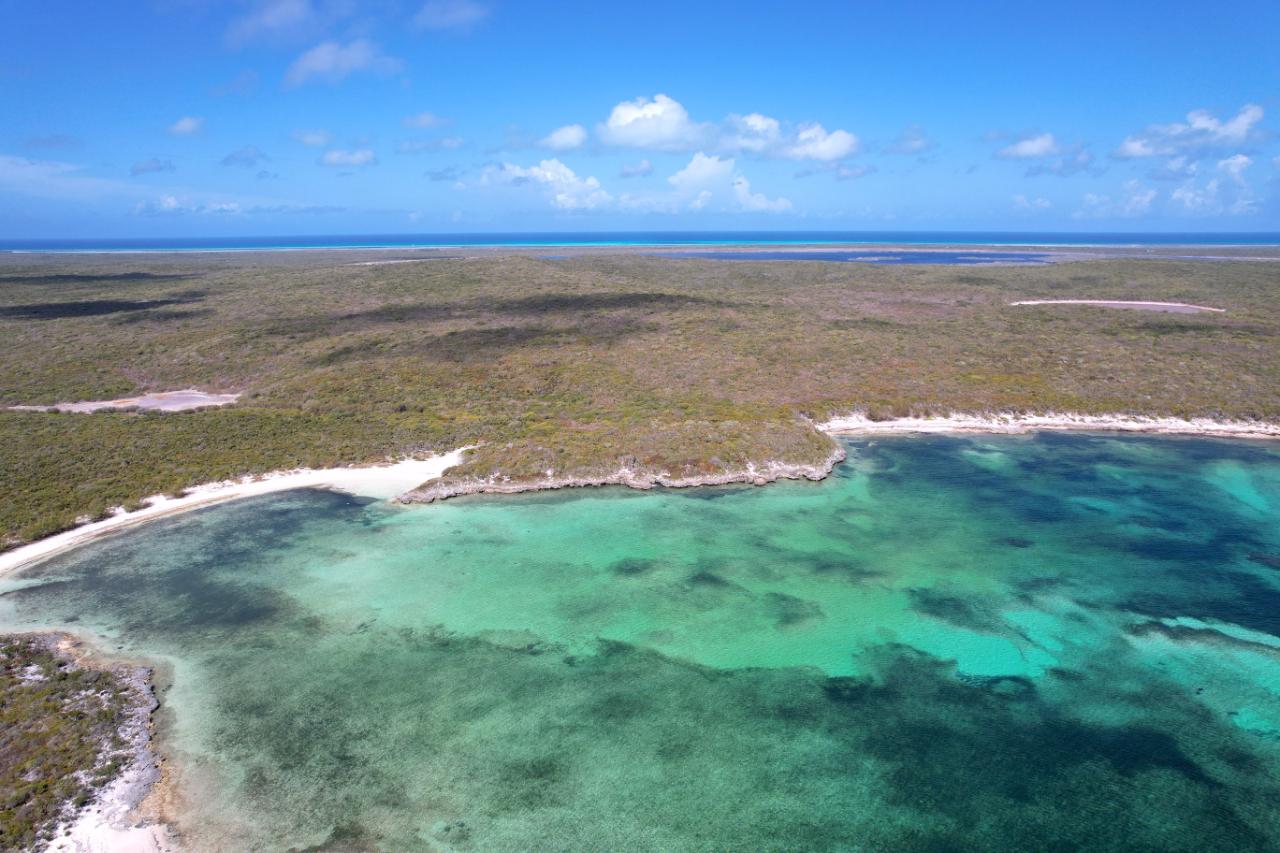 289 ACRES BURROWS HARBOUR