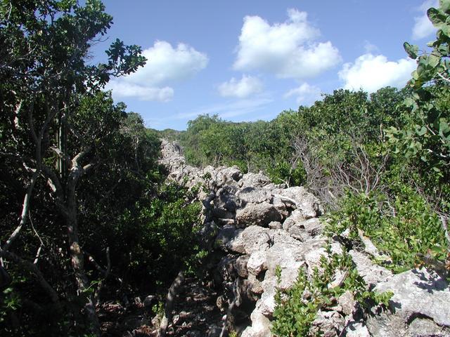 289 ACRES BURROWS HARBOUR