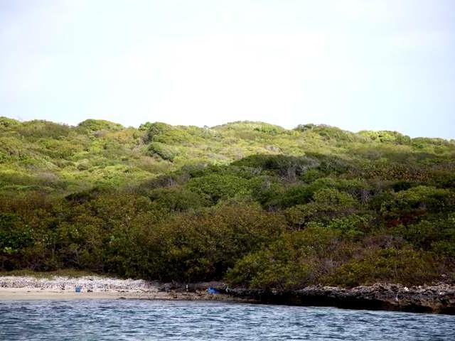 289 ACRES BURROWS HARBOUR